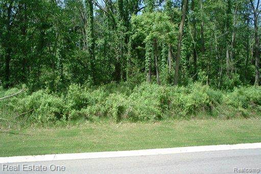 1925 Laflamme Crt - Photo 1