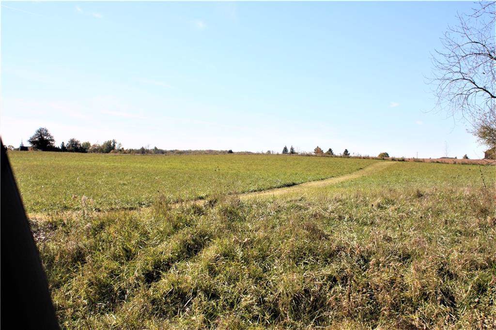 0 Imlay City Rd - Photo 1