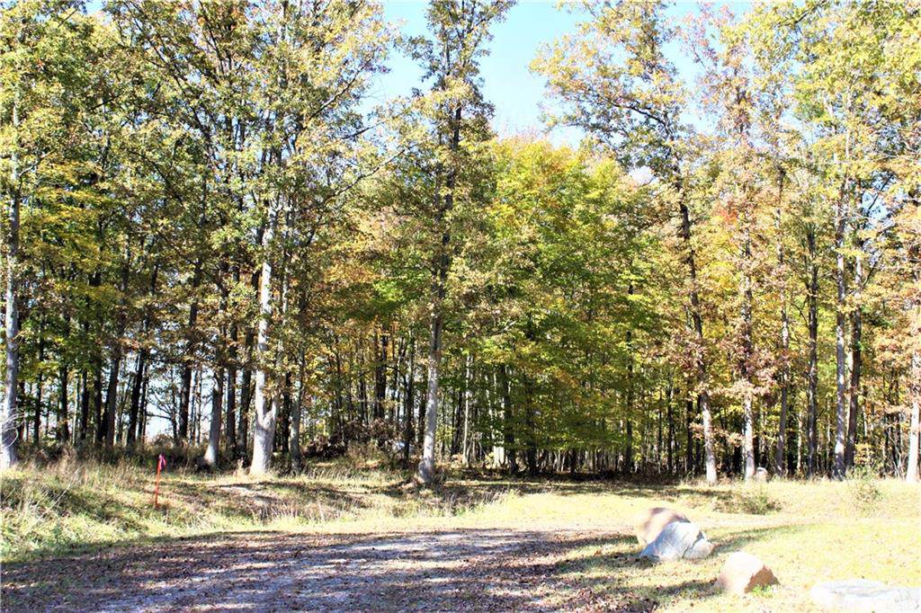 0 Imlay City Rd - Photo 1