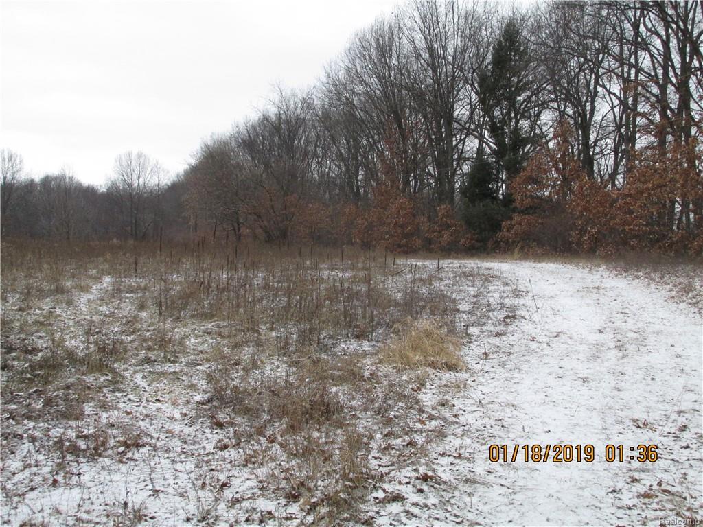 0 Bishop Rd - Photo 1