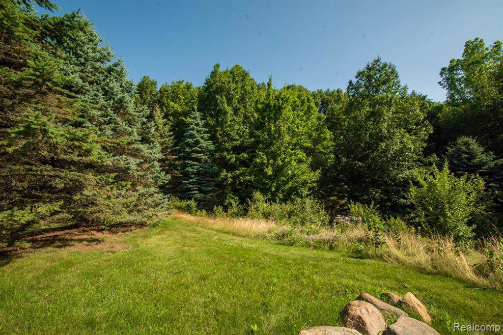 5823 Saratoga Dr - Photo 1
