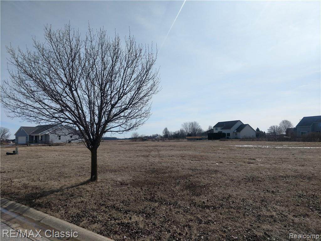 7868 Kreps Drive - Photo 1