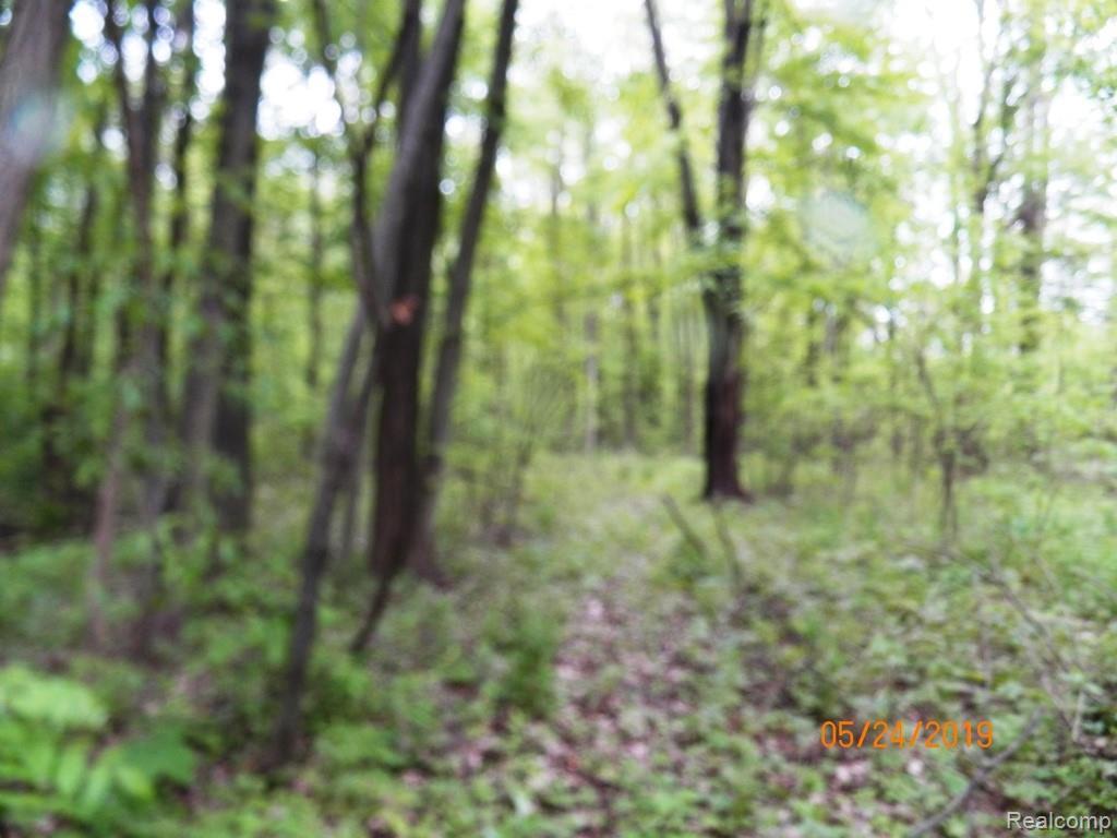 0 Hough Rd - Photo 1