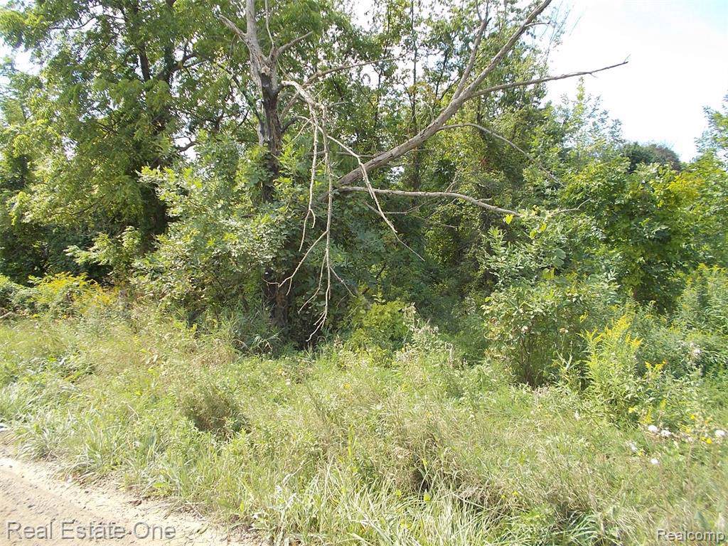 0 Lake George Rd - Photo 1
