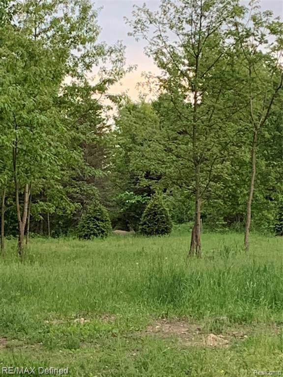 0 Corey Ln - Photo 1