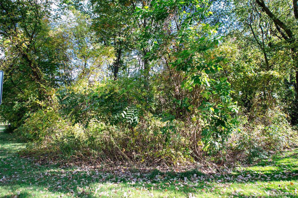 0 9 Mile Rd. Lot 19 - Photo 1