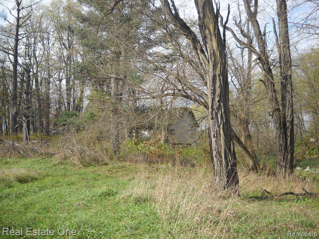 10033 Byron Rd - Photo 1