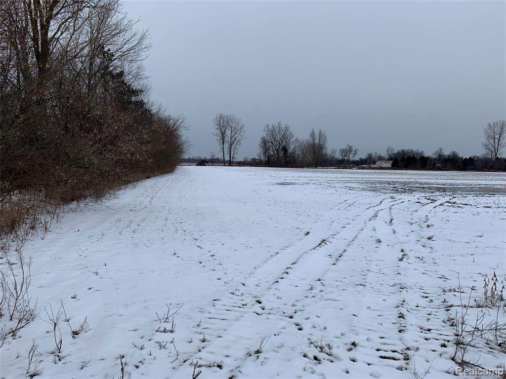 17010 34 Mile Rd - Photo 1