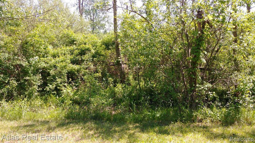 4671 Clearwater Dr - Photo 1