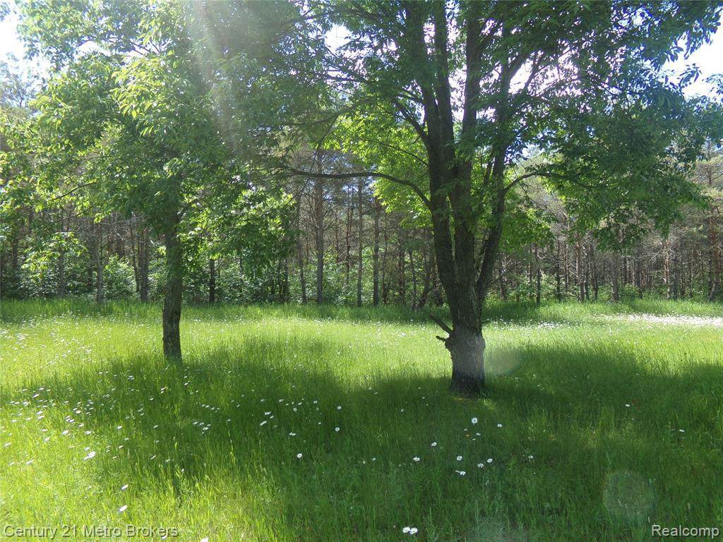 8944 Shippy Rd Sw - Photo 1