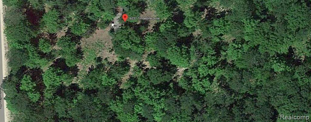 16237 Timber Line Drive - Photo 1
