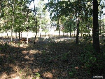 9793 Whispering Pines - Photo 1