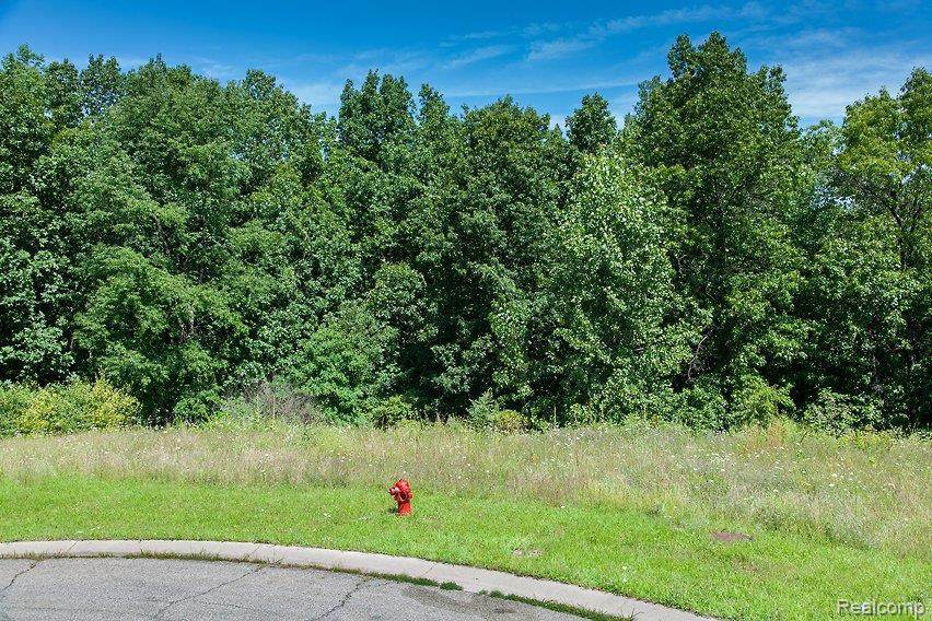 9045 Deerwood Road - Photo 1