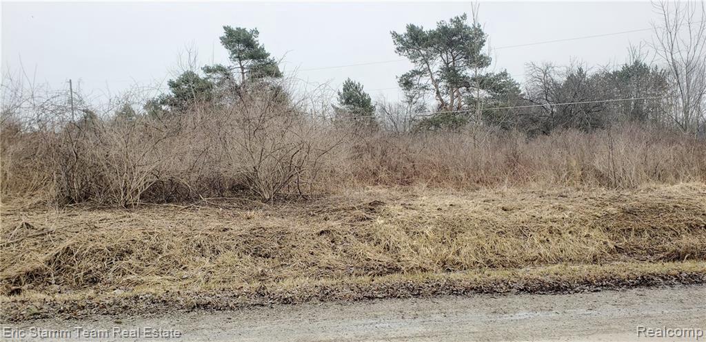 2300 Mckinley Rd - Photo 1