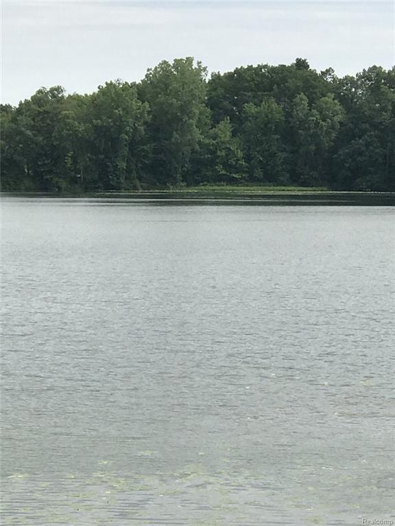 0 Mccaslin Lake Rd - Photo 1