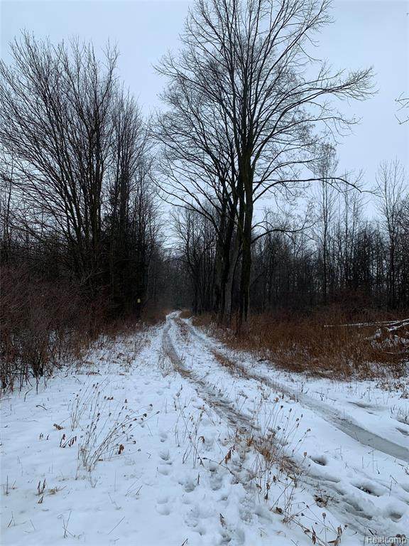 0 Corunna Rd - Photo 1