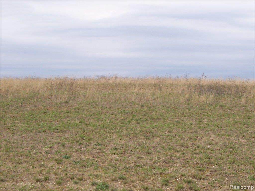 0 Iosco Ridge - Photo 1