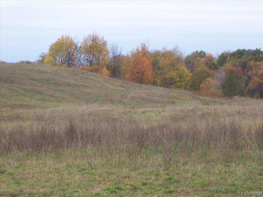 0 Iosco Ridge - Photo 1