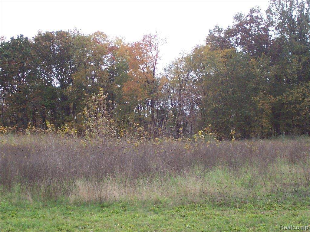 9927 Iosco Ridge - Photo 1