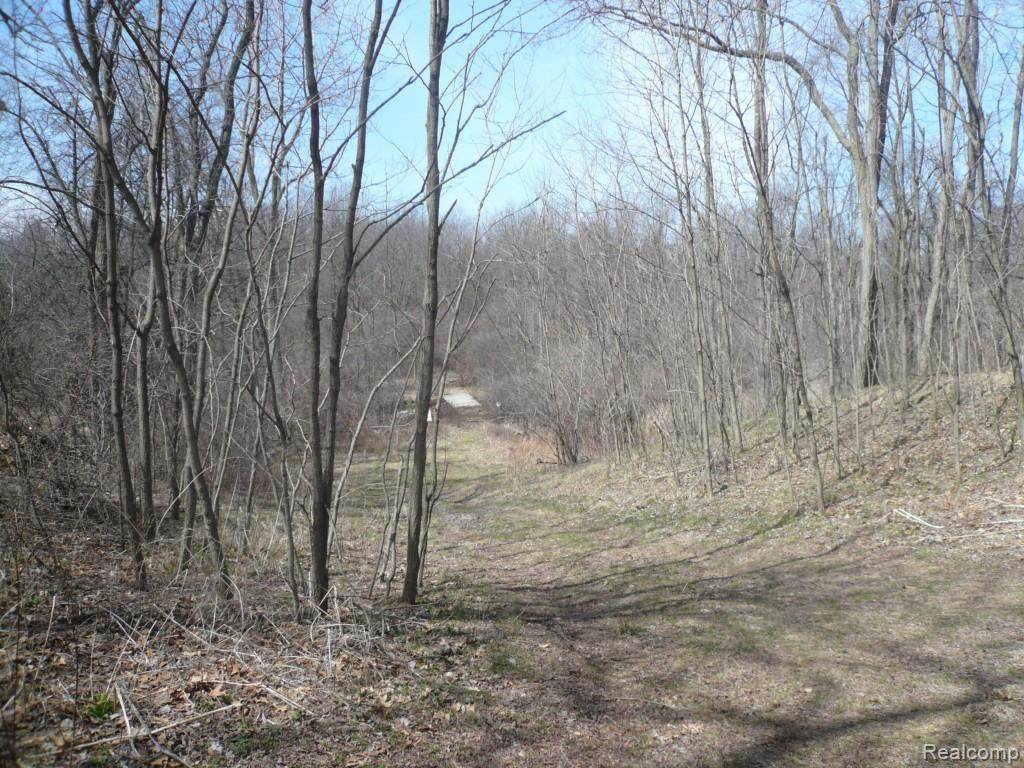0 Gunn Rd - Photo 1