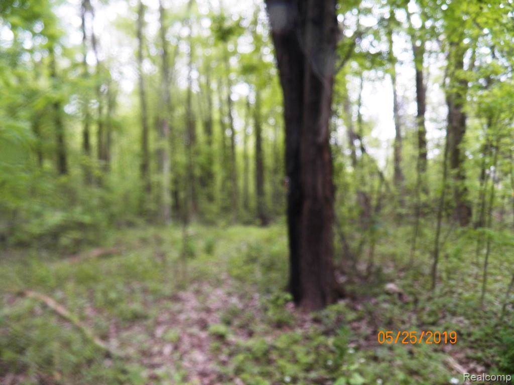 0 Hough Rd - Photo 1