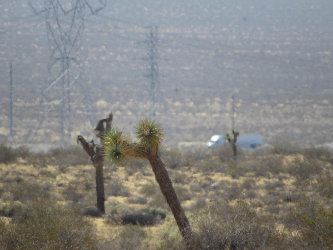 0 Sierra Road - Photo 1