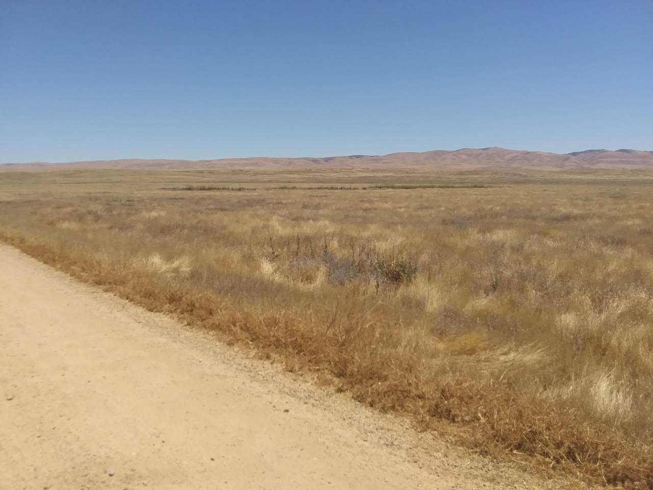 Coutolence Road - Photo 1
