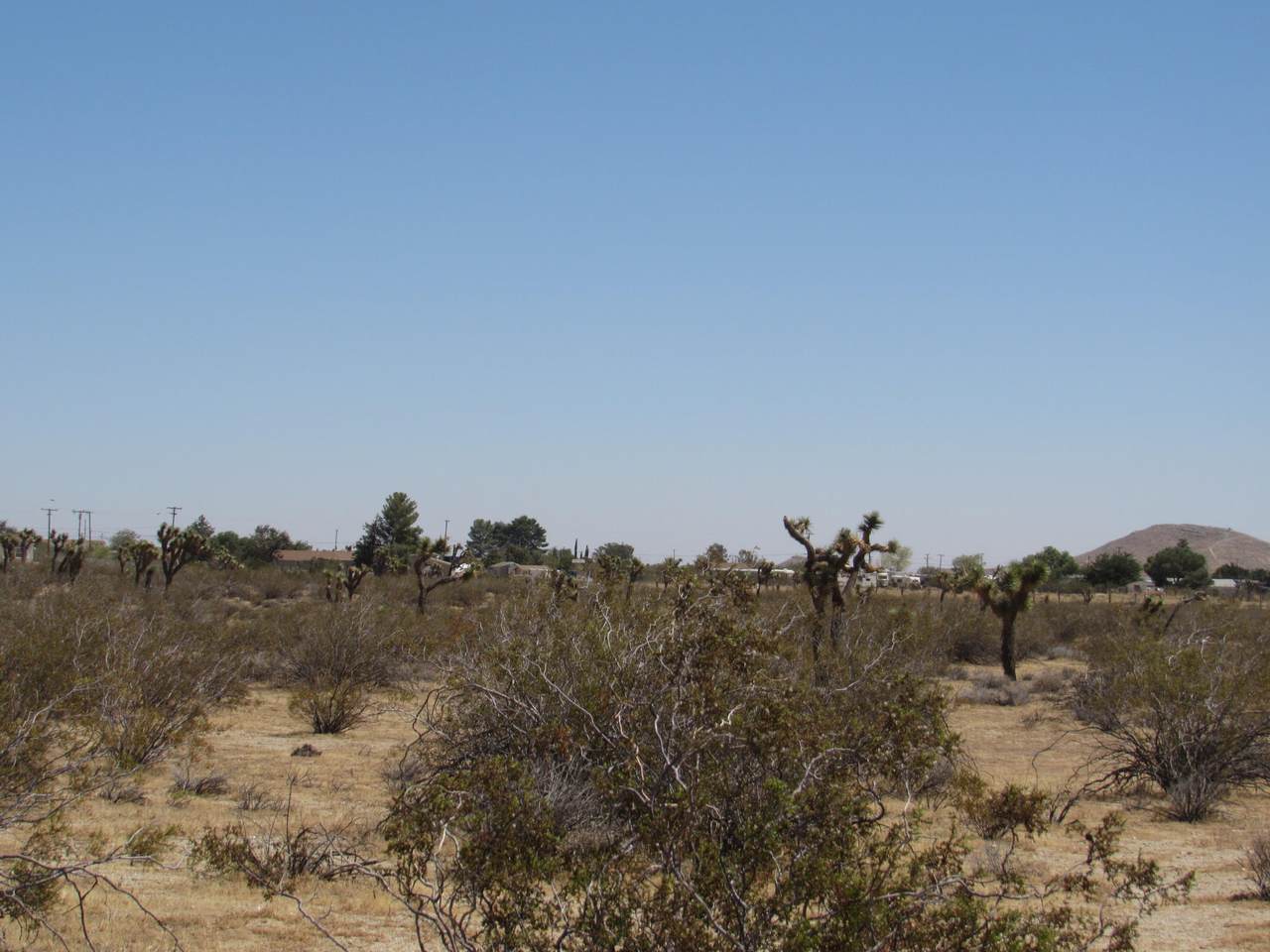 Gibbs Avenue - Photo 1
