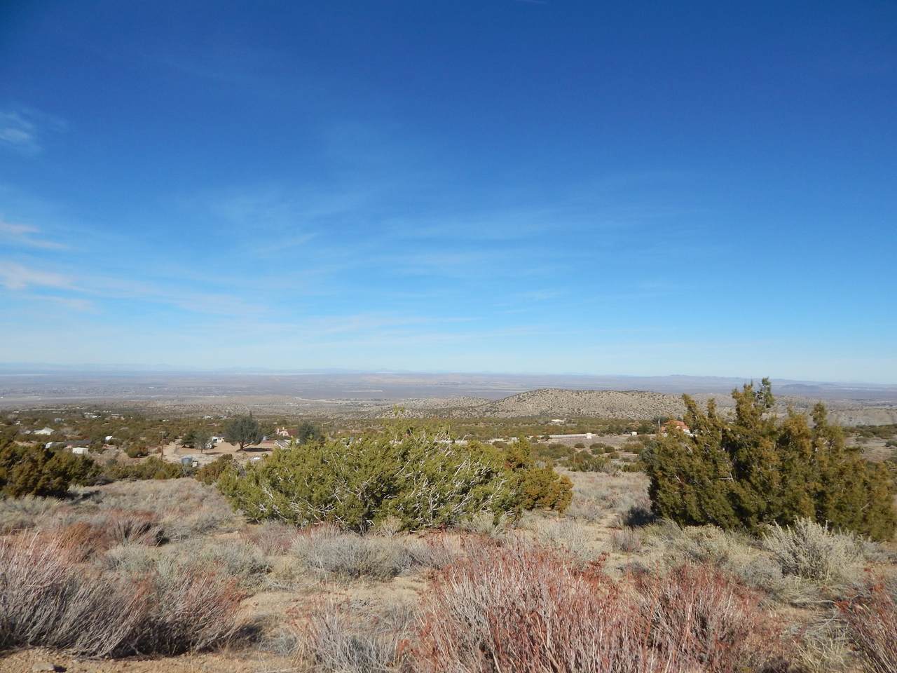Juniper Hills Rd - Photo 1
