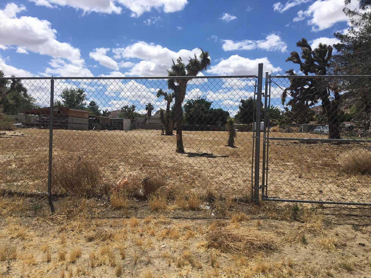 39445 Frontier Circus Street - Photo 1