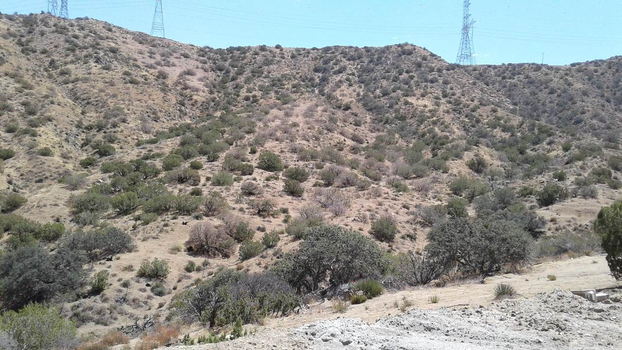 Vic Juniper Ridge Rd Ang - Photo 1