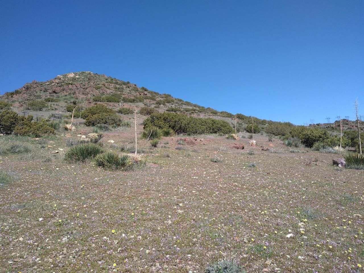 Vic Eagle Butte Rd. - Photo 1