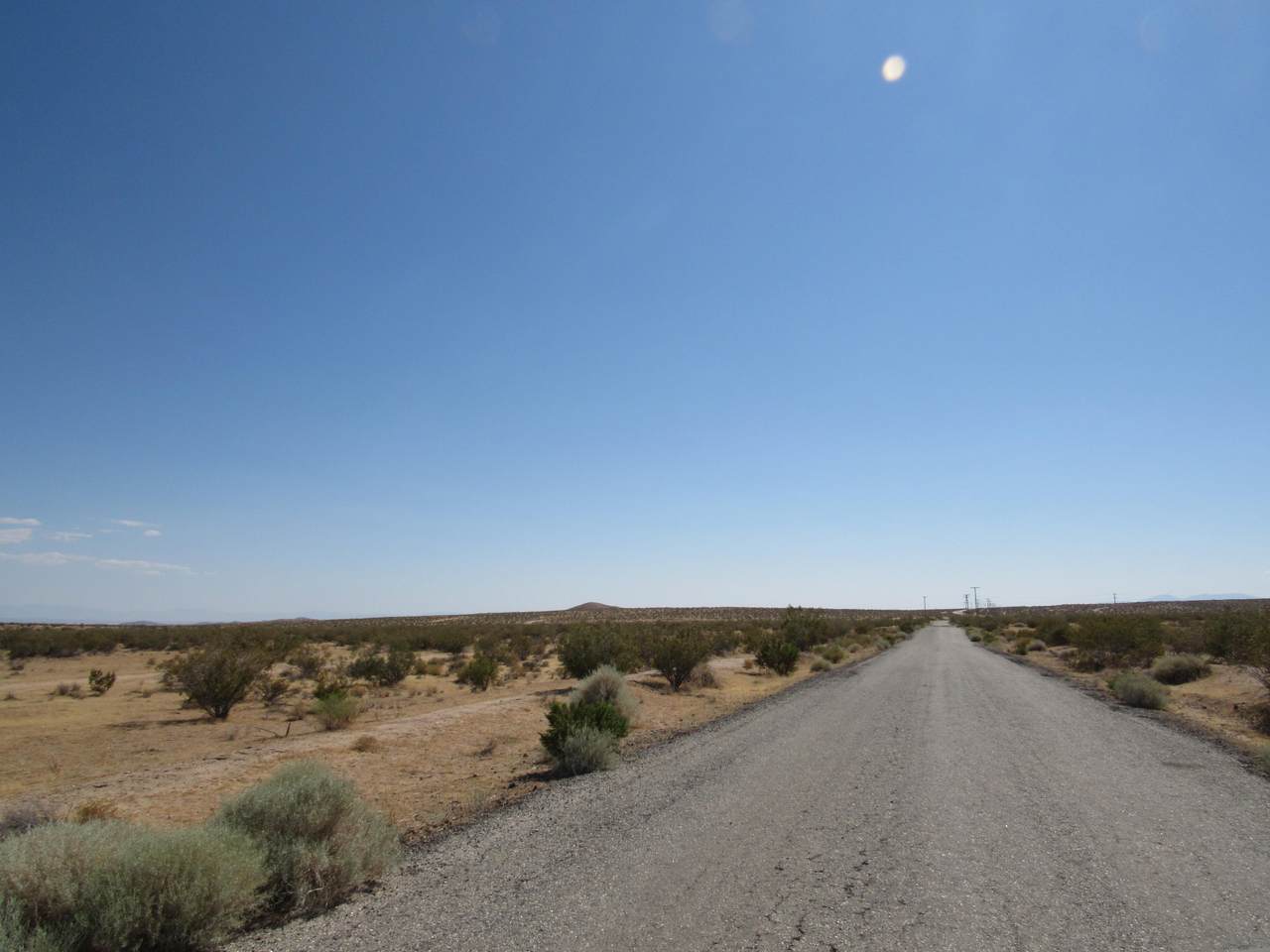 287-062-10-00-2 20 Mule Team Road - Photo 1