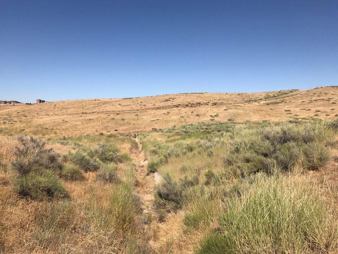 Wakeman Way - Photo 1