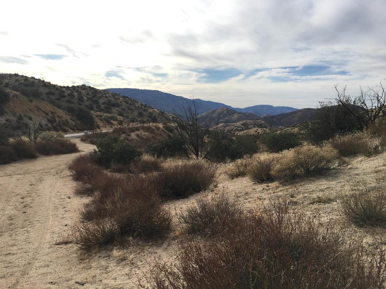 Mt Emma Road - Photo 1