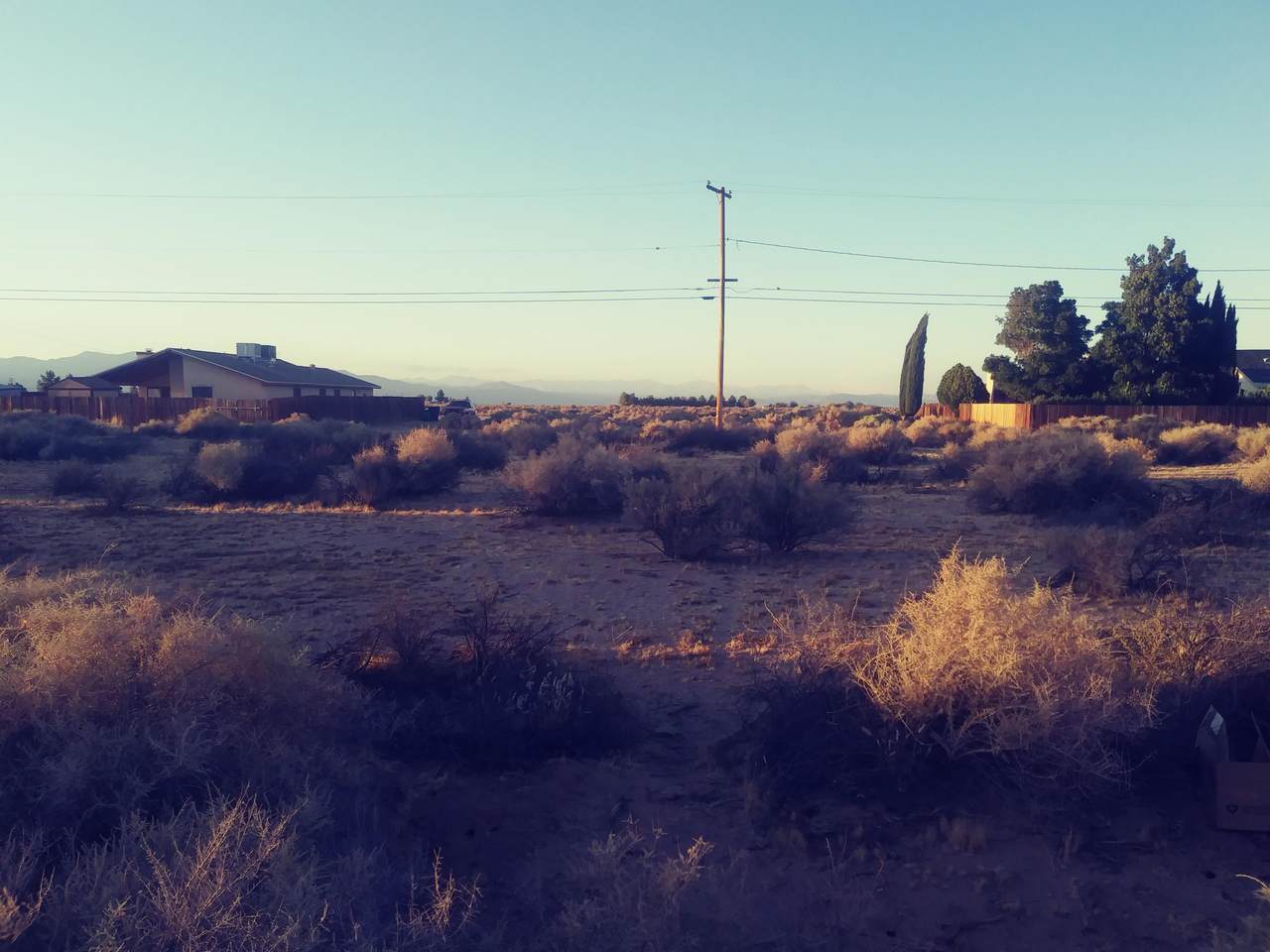 00 Jimson Avenue - Photo 1