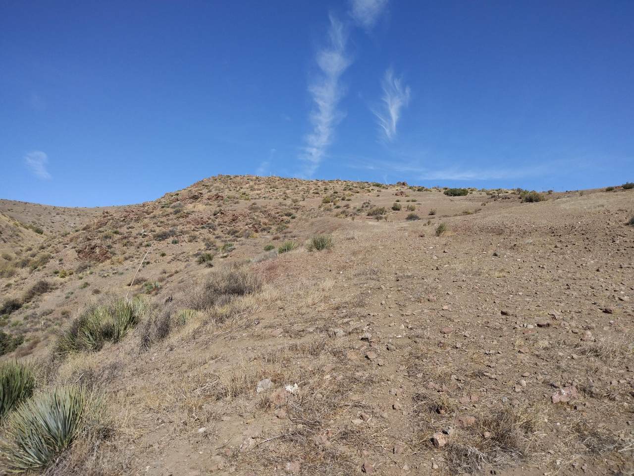Vicinity Soledad Pass Rd - Photo 1