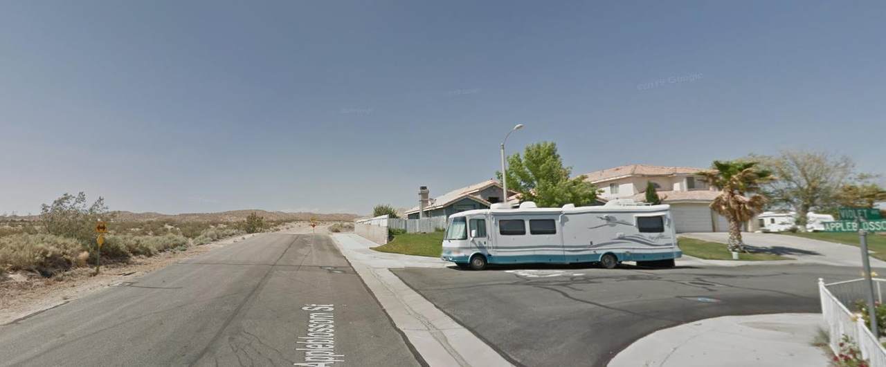 Rosamond Blvd & Appleblossom - Photo 1