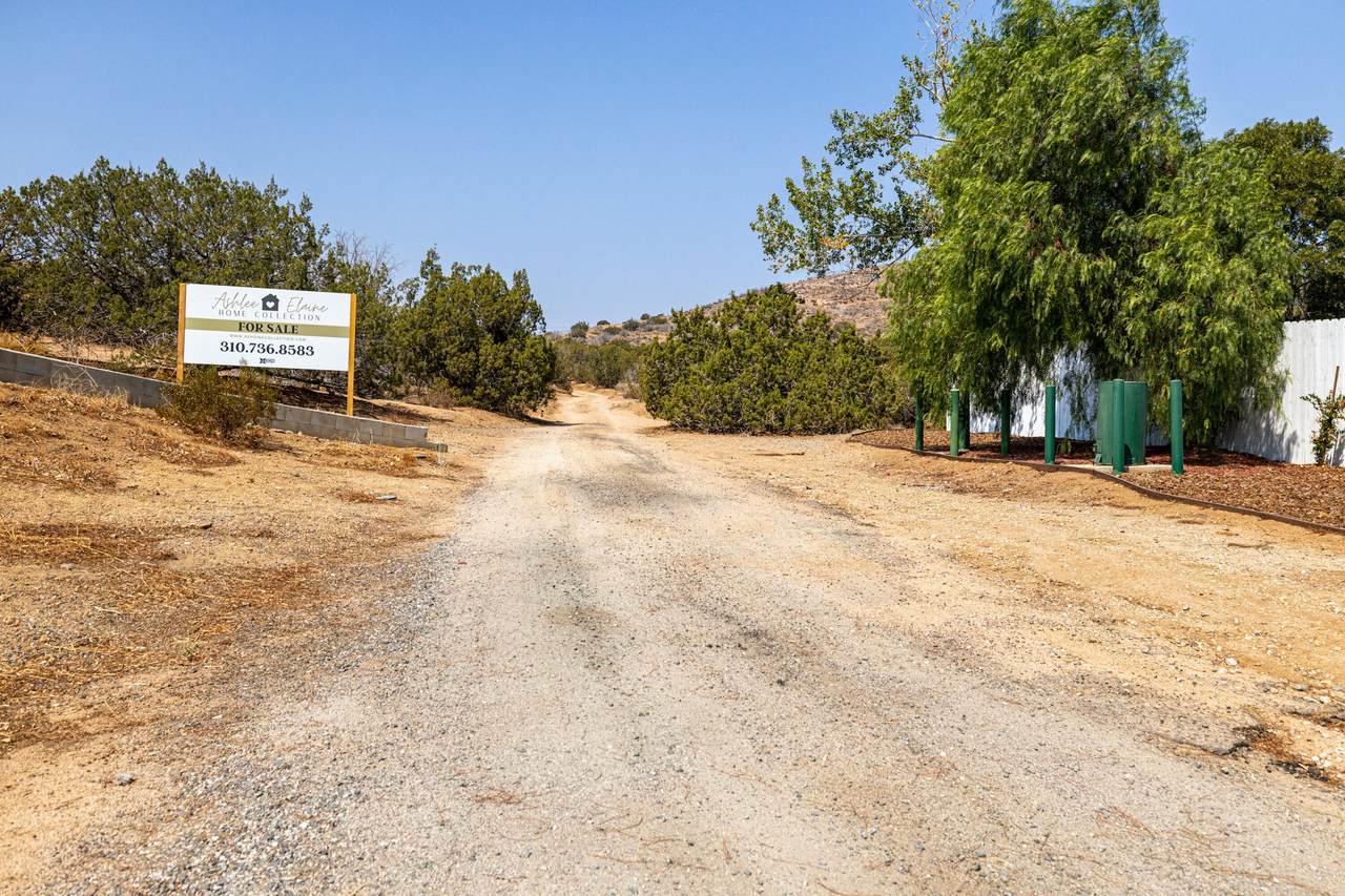 Kashmere Canyon Bridle Path Street - Photo 1