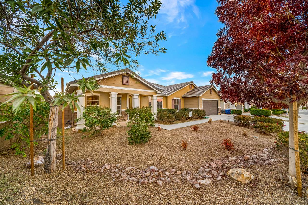 42659 Raywood Drive - Photo 1
