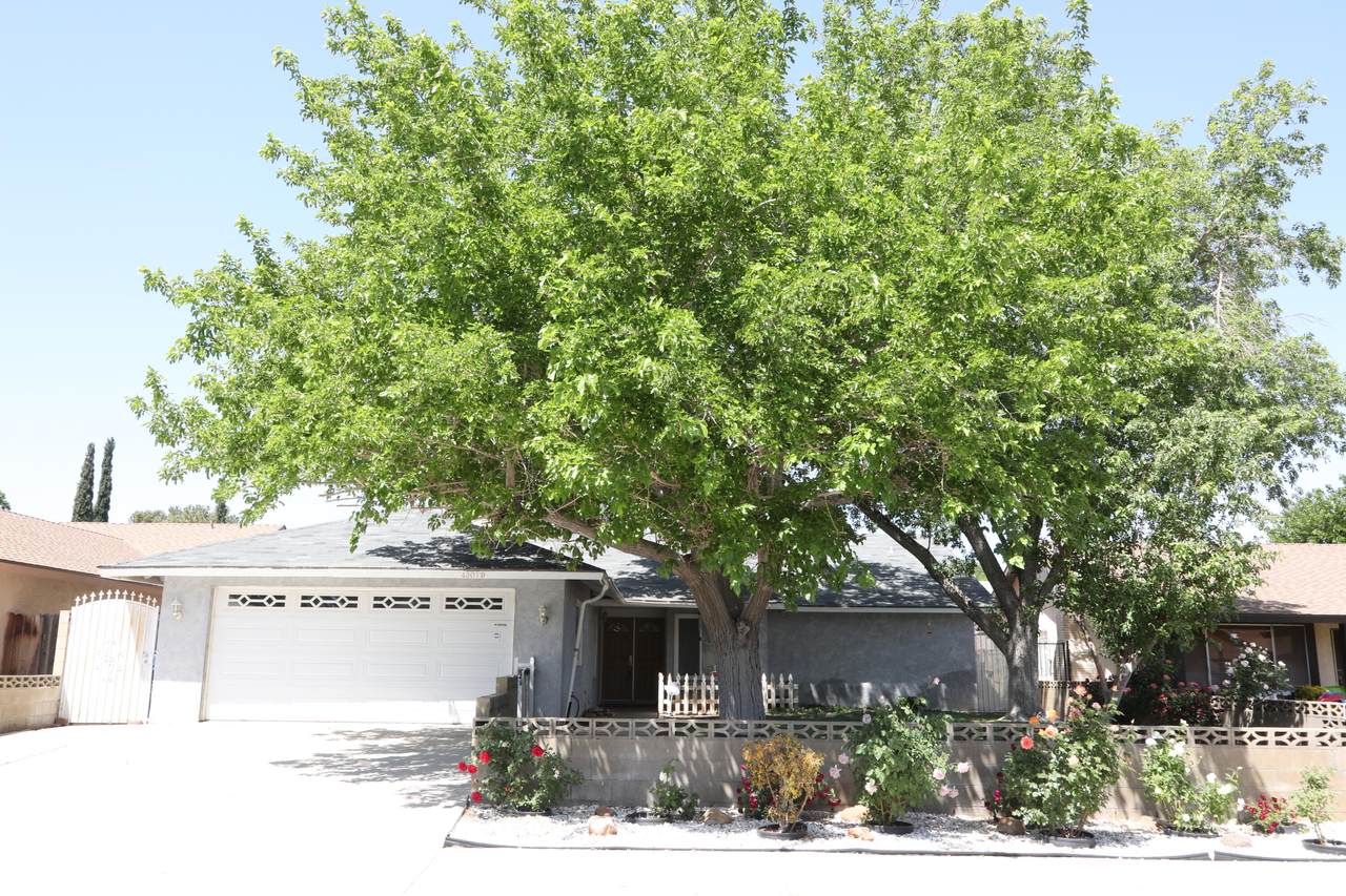 43019 Lemonwood Drive - Photo 1