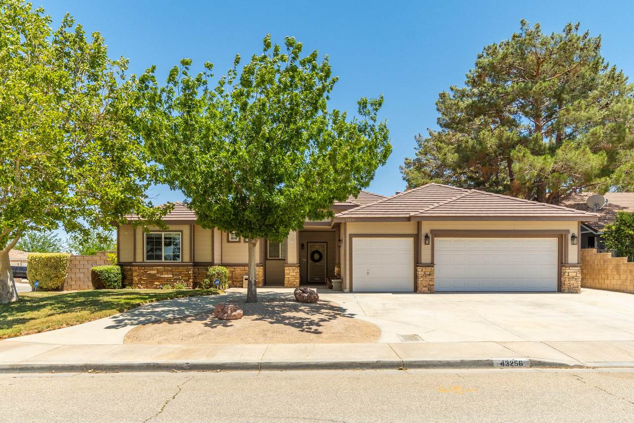 43256 Durango Lane - Photo 1