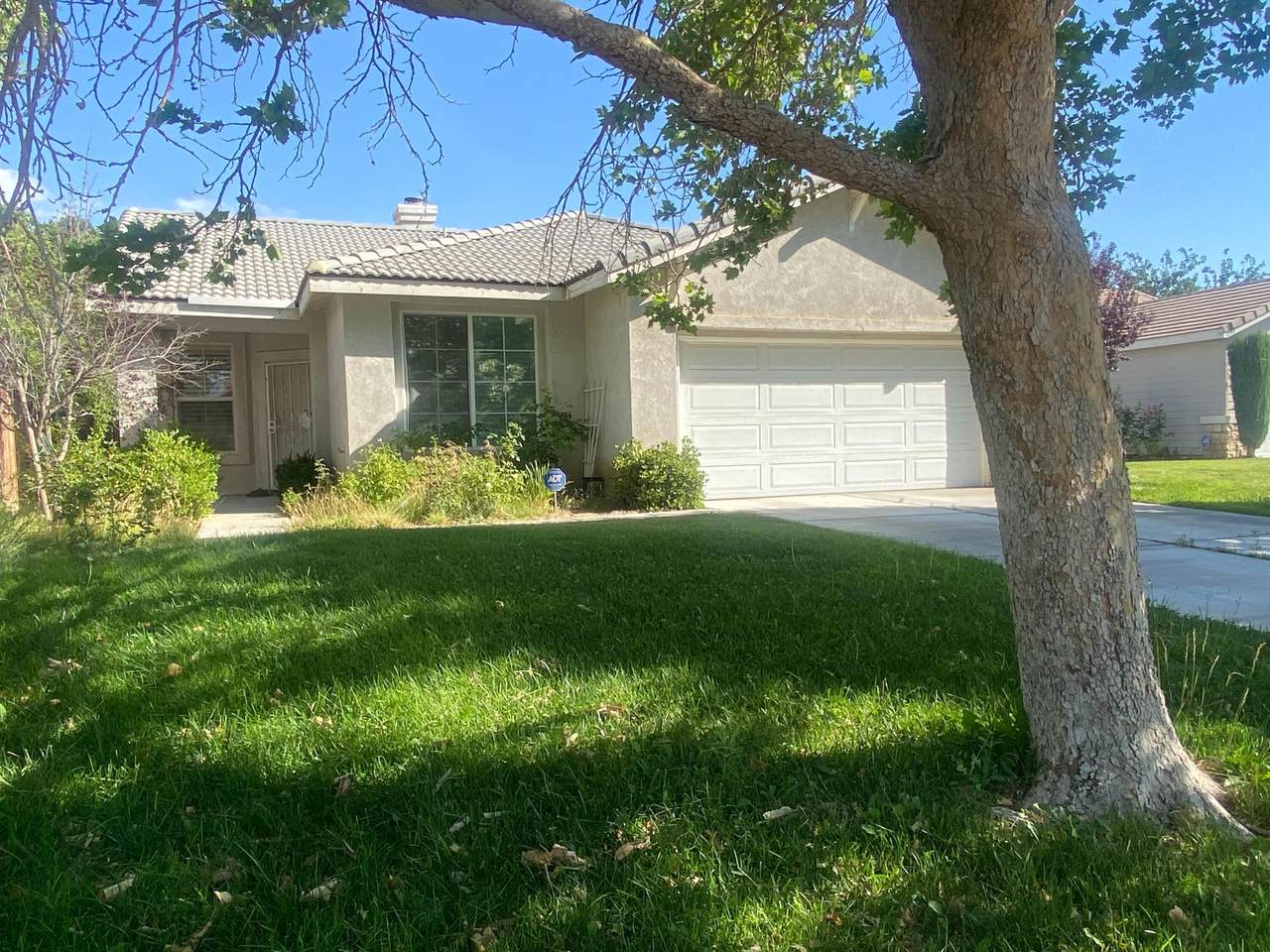1738 Holguin Street - Photo 1