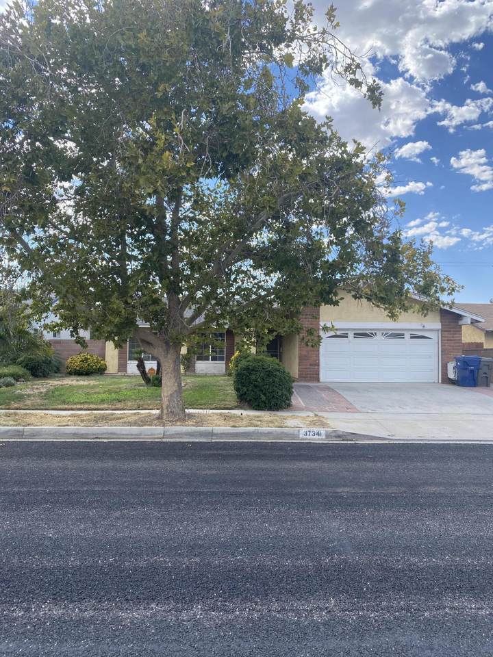 37341 51st Street - Photo 1