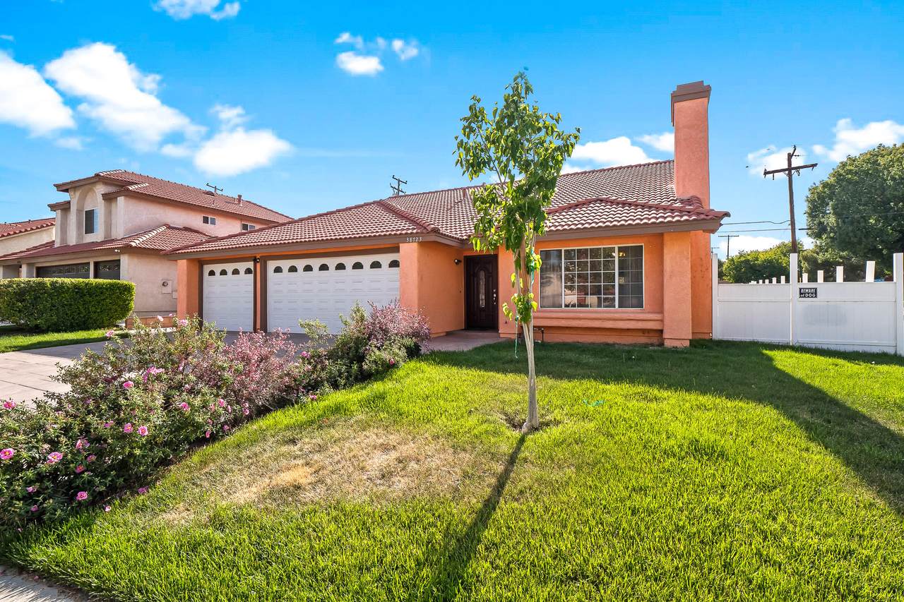 38723 Desert Flower Drive - Photo 1