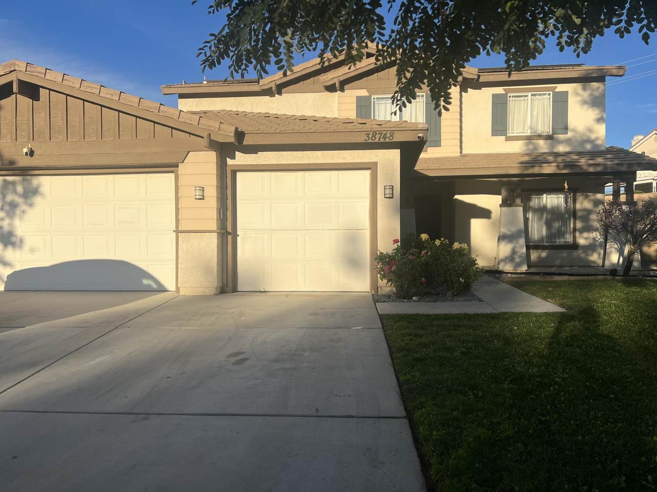 38748 Annette Avenue - Photo 1