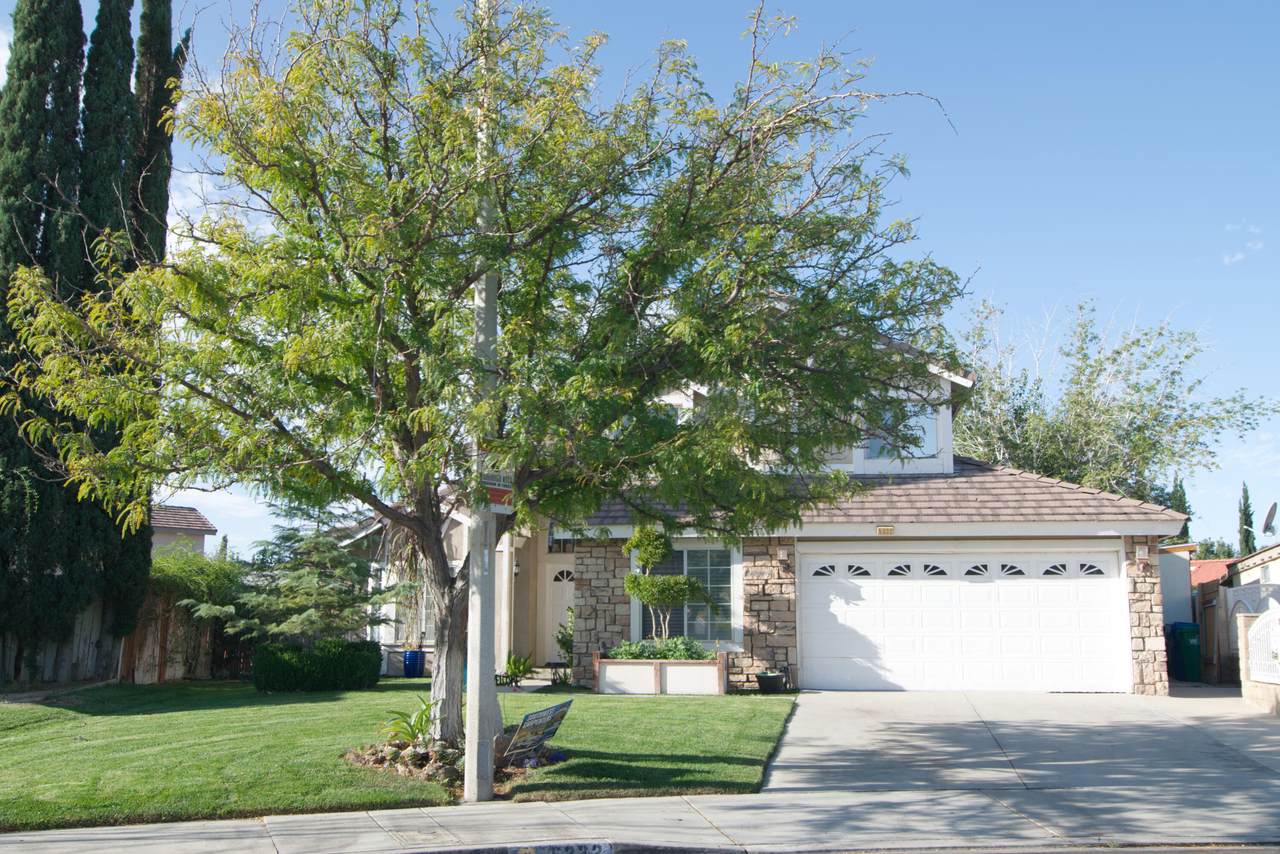 5332 Adobe Drive - Photo 1