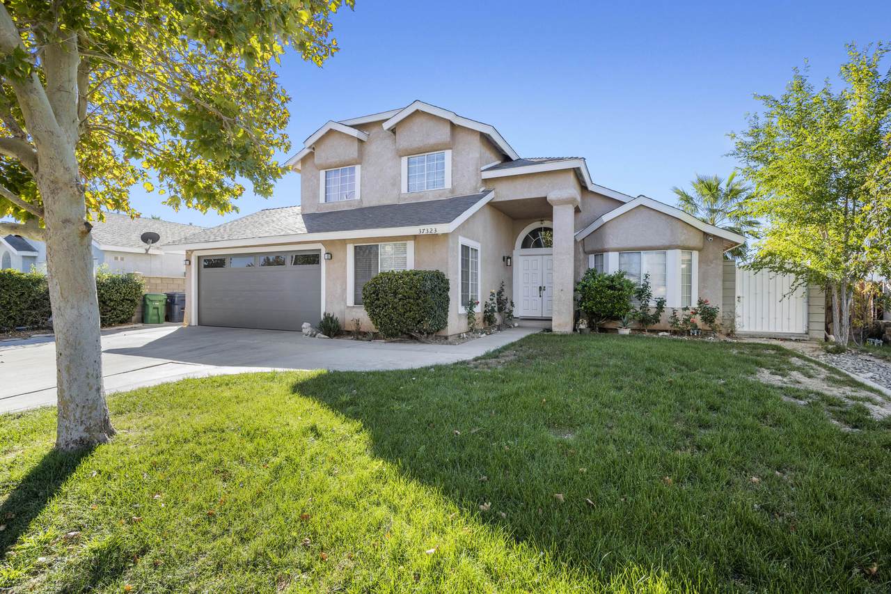 37323 Daybreak Street - Photo 1