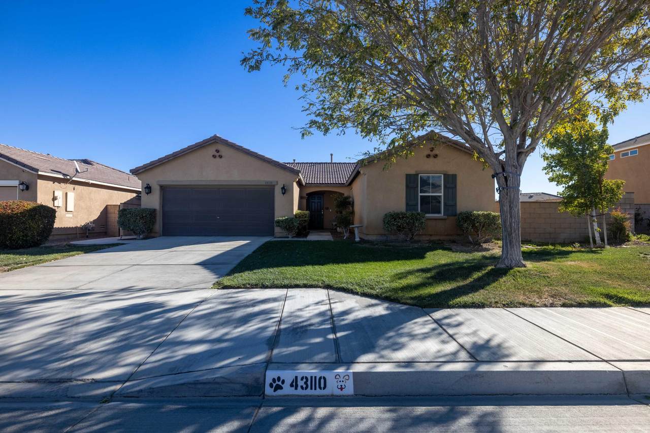 43110 Vineyard Drive - Photo 1