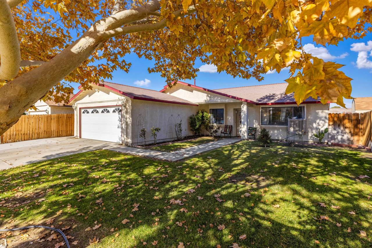 2113 Buckwheat Avenue - Photo 1